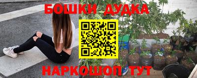 дживик Новокубанск