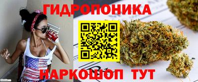 дживик Новокубанск