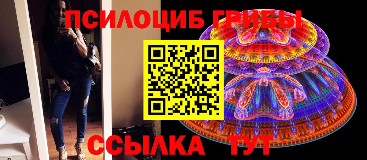 Тихорецк  Галлюциногенные грибы MAGIC MUSHROOMS  Вход с VPN 